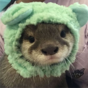 mr0g.'s avatar
