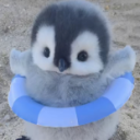 licmaballsjaiden's avatar