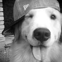 hi869100.'s avatar