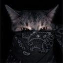 acoidanreal's avatar
