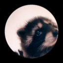 guaxinimdomal's avatar