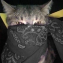 migz_u's avatar