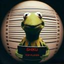 _shikue_'s avatar