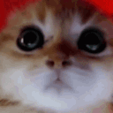 tamixxud's avatar