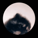 golgye_'s avatar