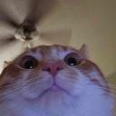 deletduser28391273219fas's avatar
