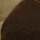 kingstxn_yy's avatar