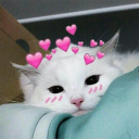 imhn._'s avatar