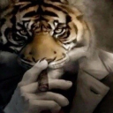 ownerowns's avatar