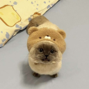 muqck's avatar