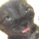 mazir_'s avatar