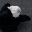 raisedinkyoto's avatar