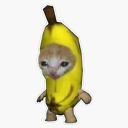 .sekano's avatar