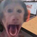 bremtheone1's avatar