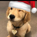djangowilson1921's avatar