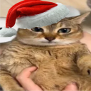 kevellegg's avatar