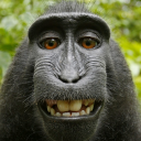 alierert's avatar