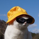 javon4teenth's avatar