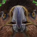 dome0805's avatar