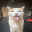 wokunumber5's avatar