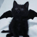 ypzu's avatar