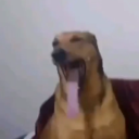 youngphar0's avatar