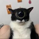 acgkai's avatar