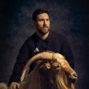 n.joel's avatar