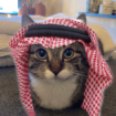 pvpbenzo's avatar