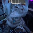 gakkouen.'s avatar