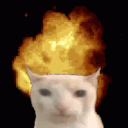 groril's avatar