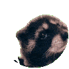 sefutaw's avatar