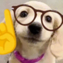 riciwnl7's avatar