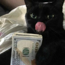 shaffgg's avatar