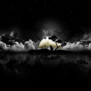 ftcme's avatar