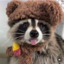 shogun_tanji's avatar