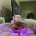 lordofshadows2896's avatar