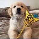 dani123987's avatar