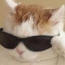 synxsonl2's avatar