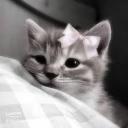 alessxia.'s avatar
