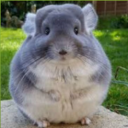 abdu_1984's avatar