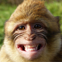 camununless's avatar
