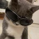 alevogg's avatar