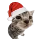 tejespofajucicaa's avatar
