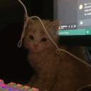 skattcik's avatar