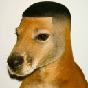 szeejker's avatar