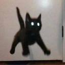 .knifers's avatar