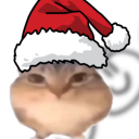 rikogmez's avatar