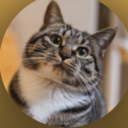 catto9105's avatar