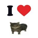 finfinfinfinx3's avatar